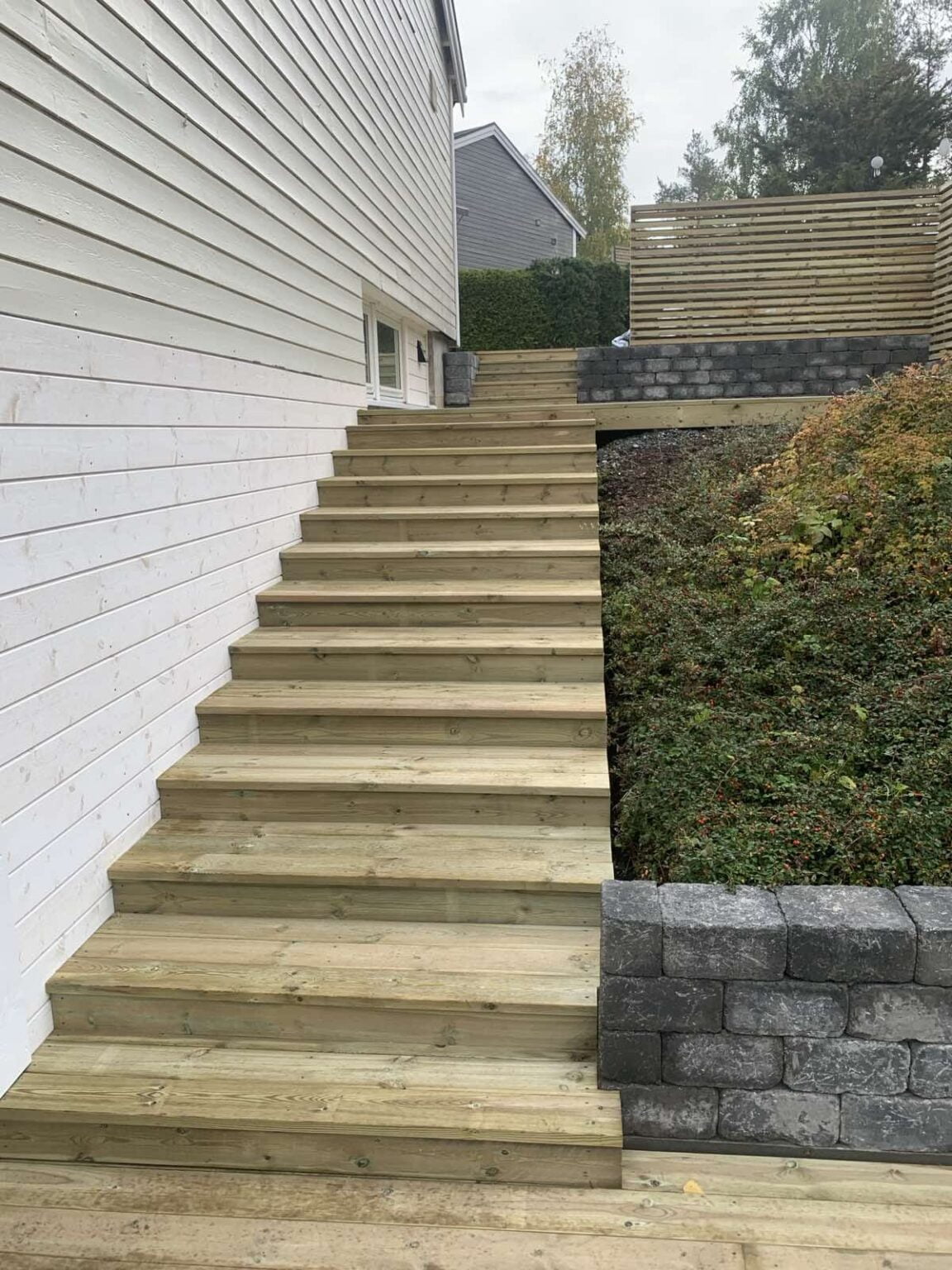 image6