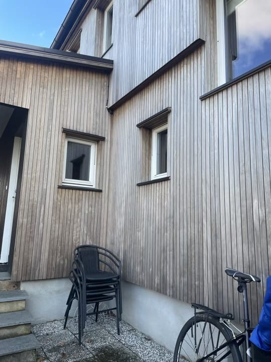 Elewacja